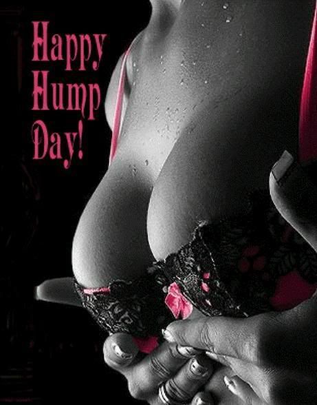 HAPPY_HUMP_DAY