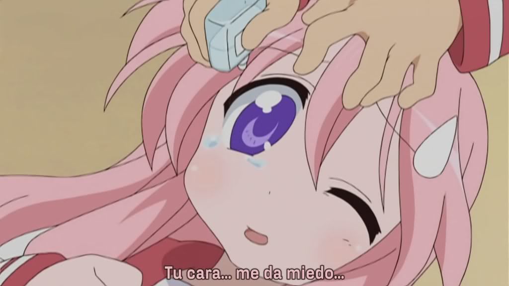 Imagen enviada