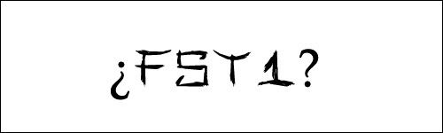 Imagen enviada