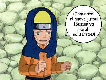 Imagen enviada
