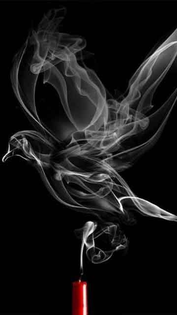 Smoke_Bird.jpg