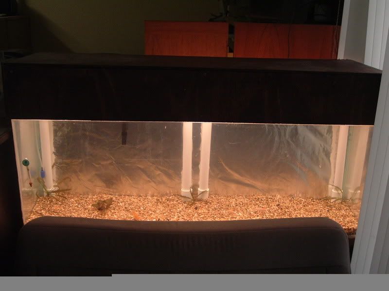 DIY Undergravel filter