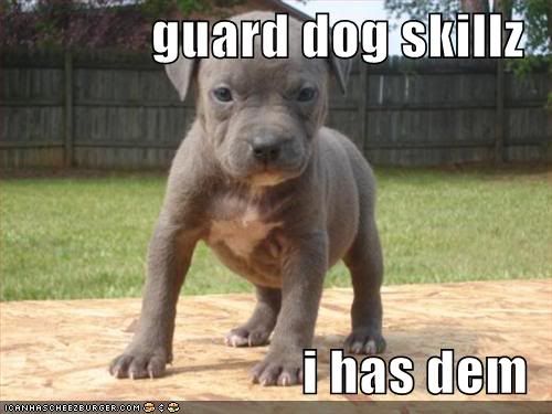 LolDog-GuardDogSkillz.jpg