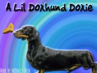 LDK Back To Back