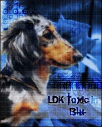 LDK Toxic In Blu