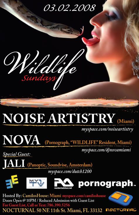 NOISE-ARTISTRY-NOVA-03022008-WEB.jpg