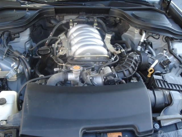 DSC08227.jpg