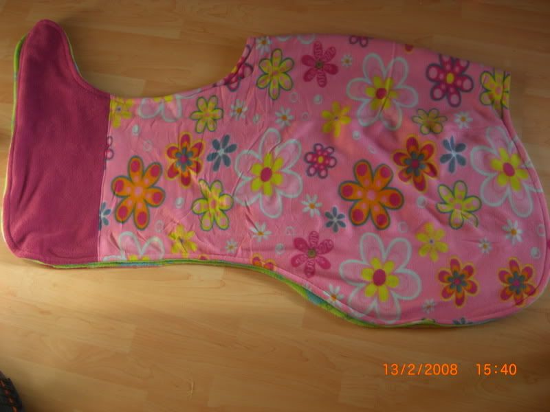 CIMG0436.jpg