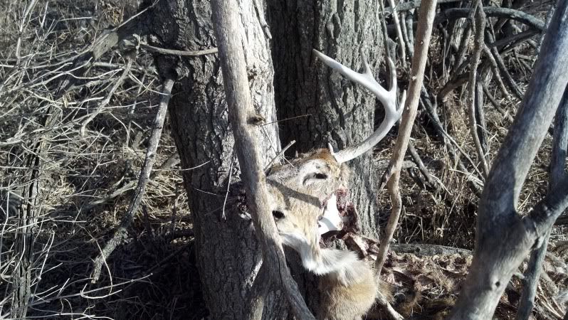 2012-02-19_15-39-32_735.jpg