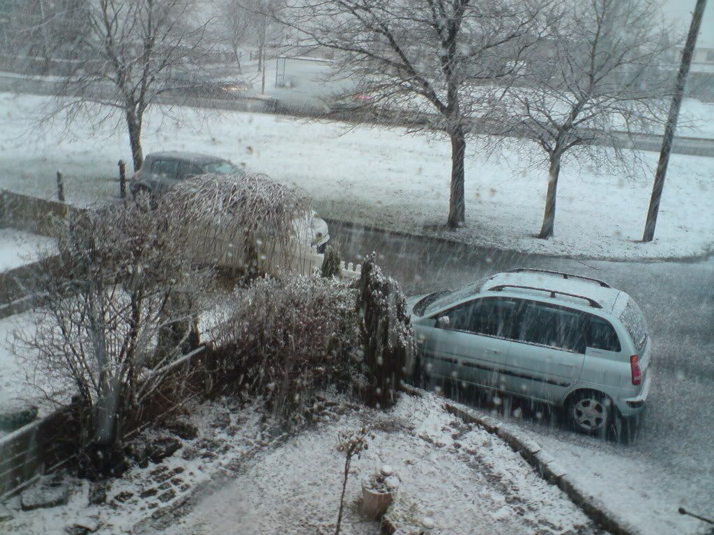 DSC00533.jpg