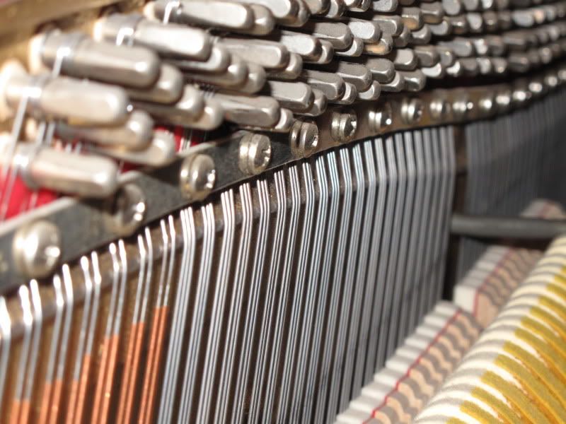 Austin piano, austin piano for sale, austin piano store, piano, austin wurlitzer, austin used pianos, austin used piano, megspiano, san marcos piano, new braunfels piano