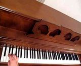 Austin piano, austin piano for sale, austin piano store, piano, austin wurlitzer, austin used pianos, austin used piano, megspiano, san marcos piano, new braunfels piano