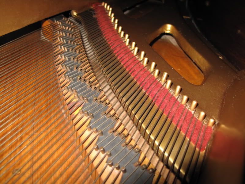 cable-nelson baby grand piano, cable nelson baby grand, austin baby grand, round rock piano for sale, round rock baby grand, round rock piano, round rock piano tuner