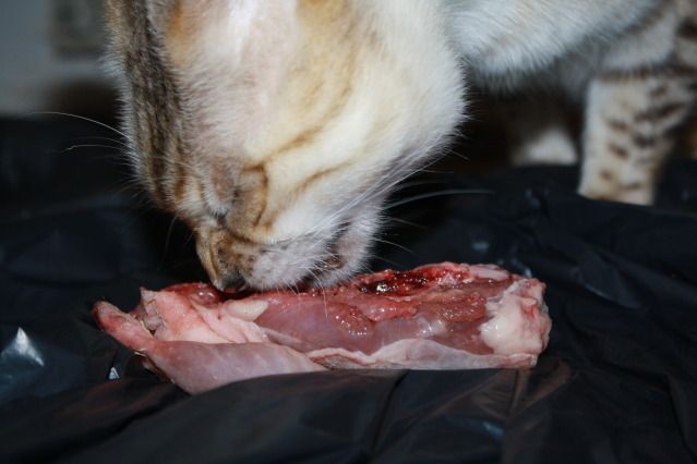 Geplaatste afbeelding