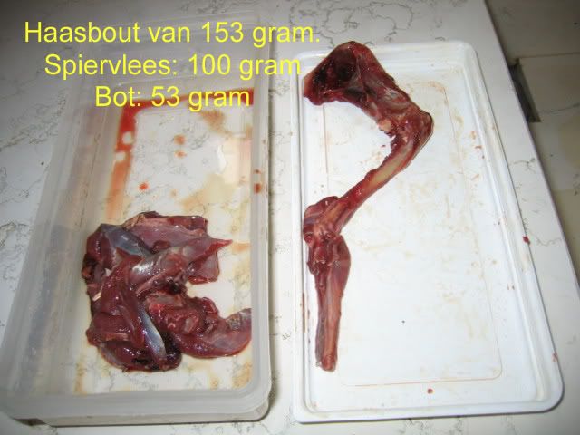 Geplaatste afbeelding