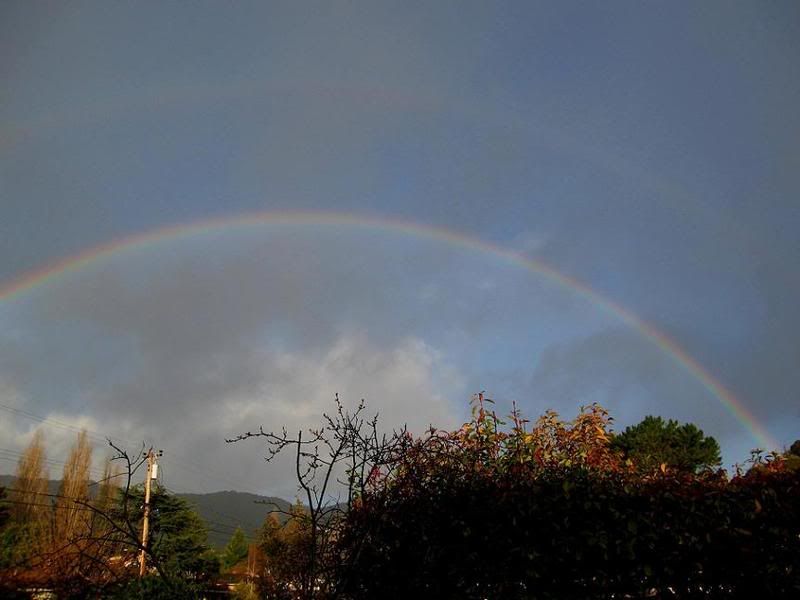 Rainbow