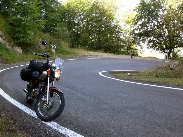 P1070695.jpg