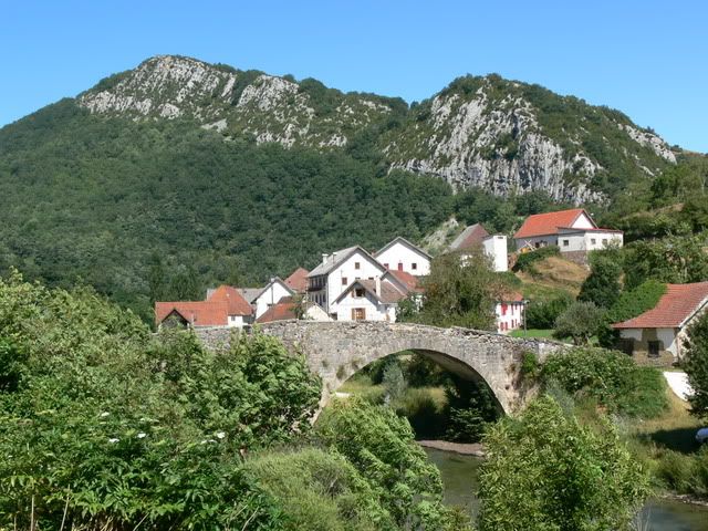 P1070748.jpg