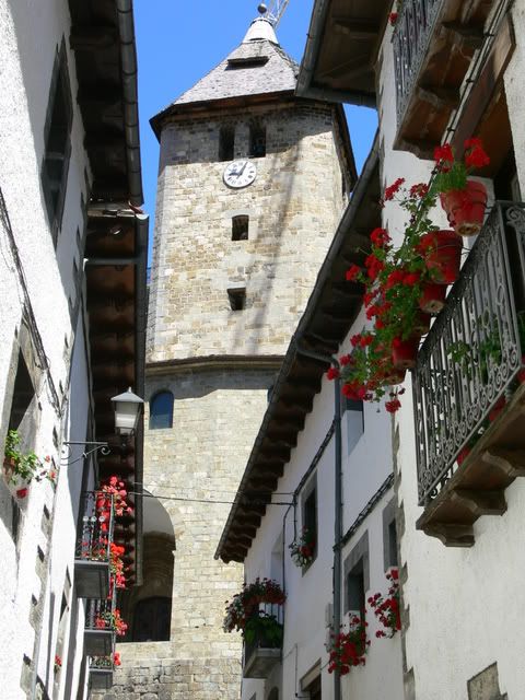 P1070793.jpg
