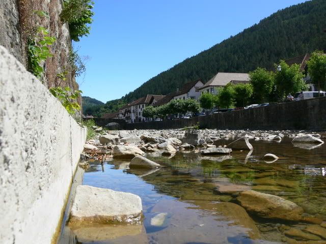 P1070798.jpg