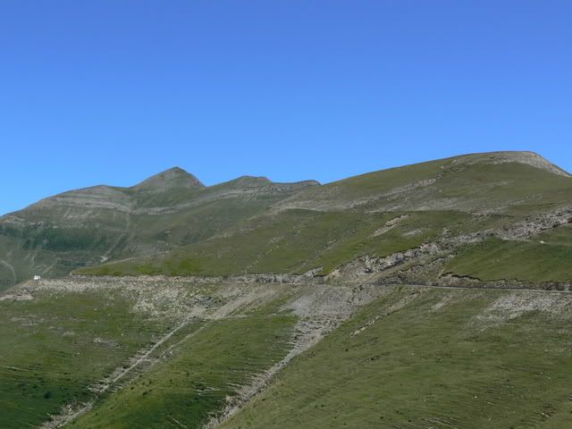 P1070816.jpg