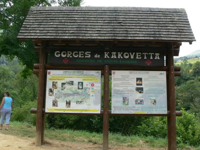 P1070848.jpg