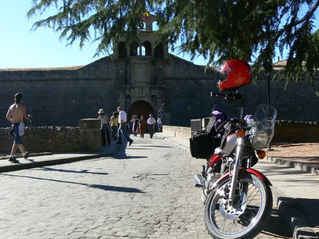 P1070939.jpg