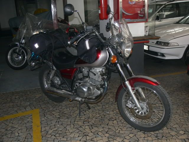 P1100275.jpg