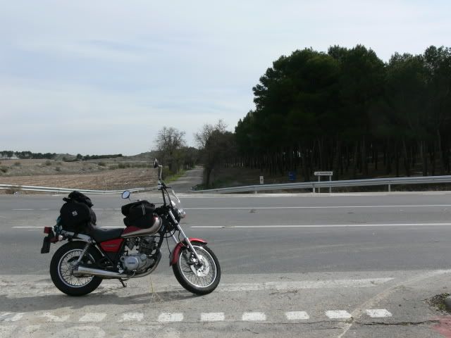 P1100276.jpg