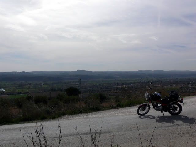 P1100281.jpg