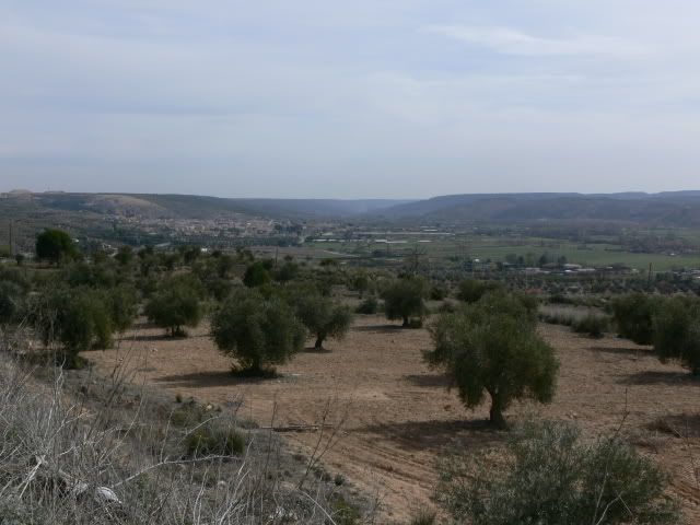 P1100283.jpg