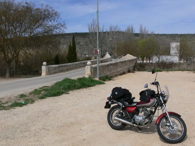 P1100294.jpg