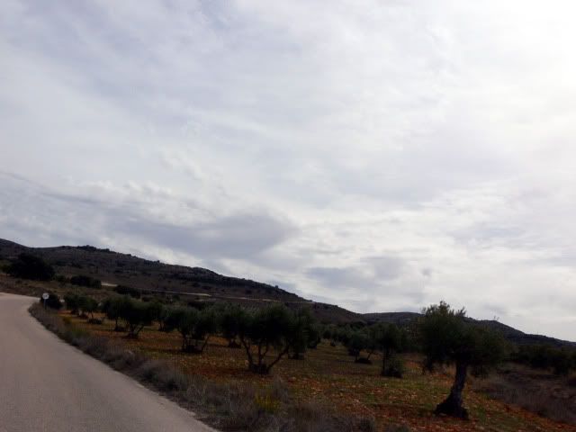 P1100319.jpg