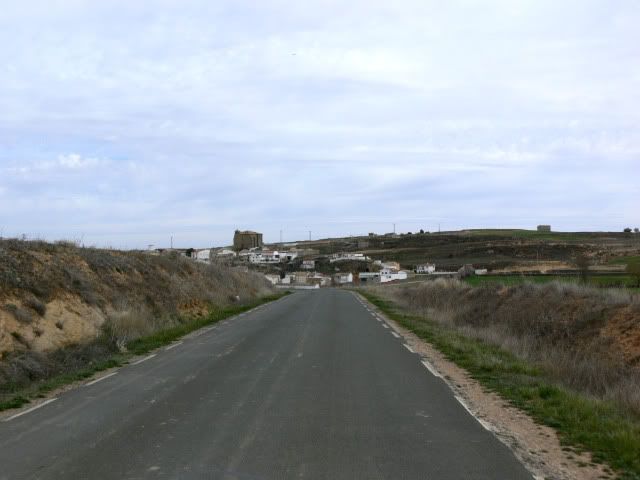 P1100330.jpg