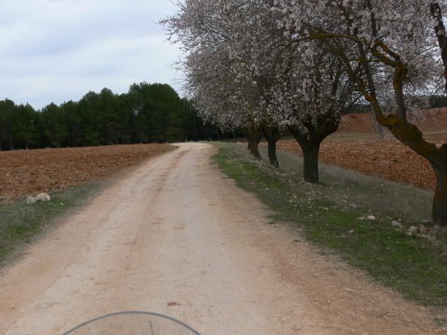 P1100340.jpg