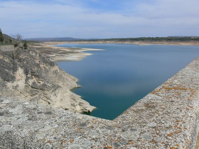 P1100356.jpg