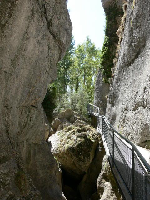 P1120271.jpg