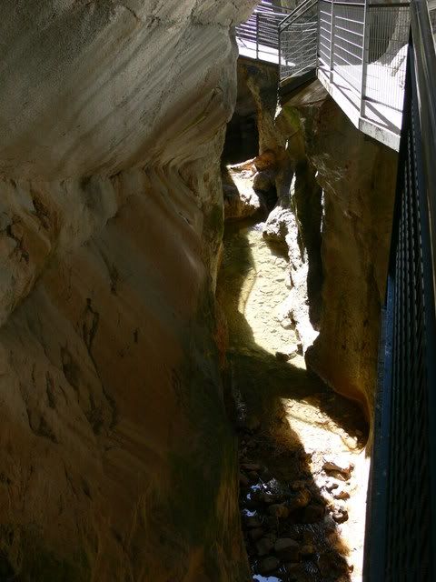 P1120287.jpg