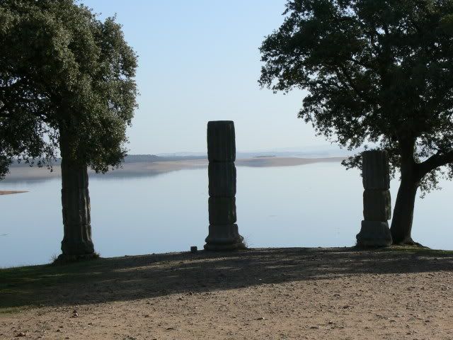 P1120455.jpg