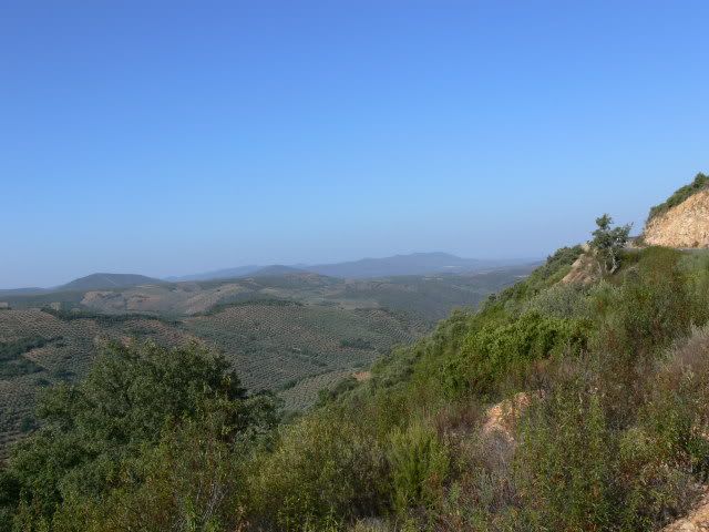 P1120463.jpg