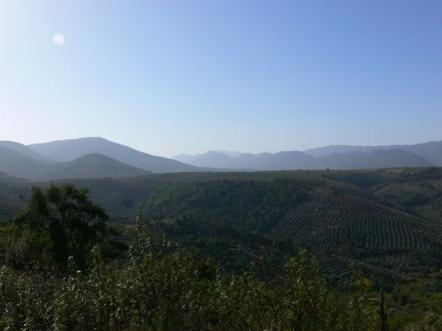 P1120464.jpg