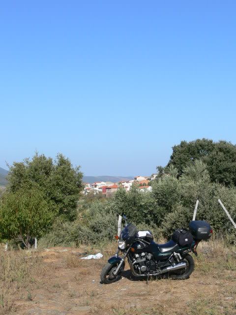 P1120473.jpg