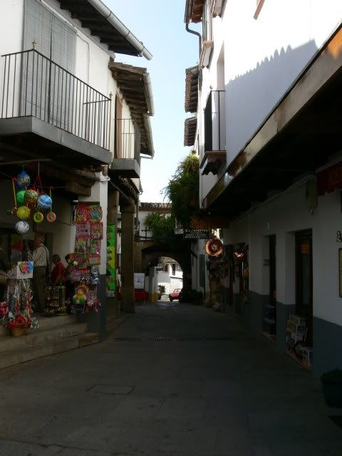 P1120496.jpg