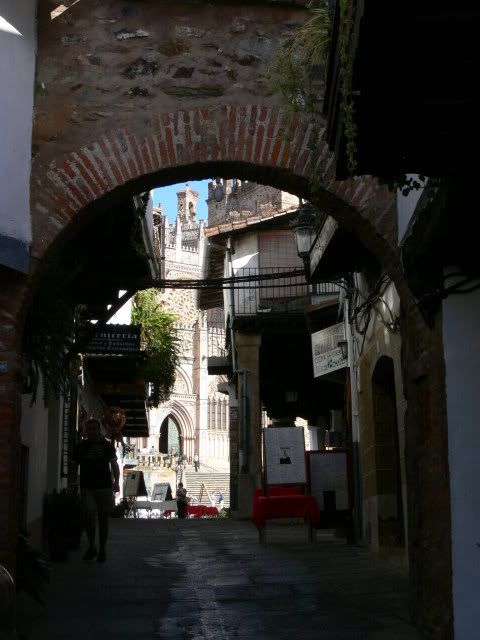 P1120505.jpg