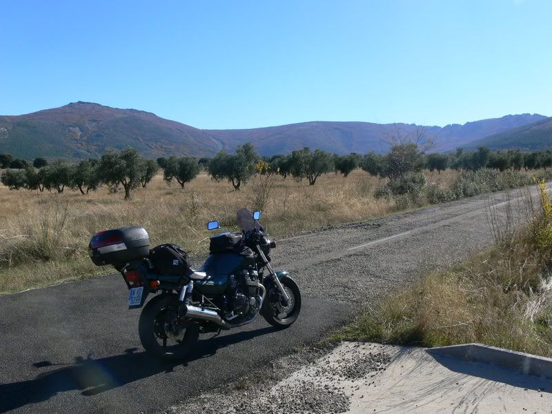 P1120972.jpg
