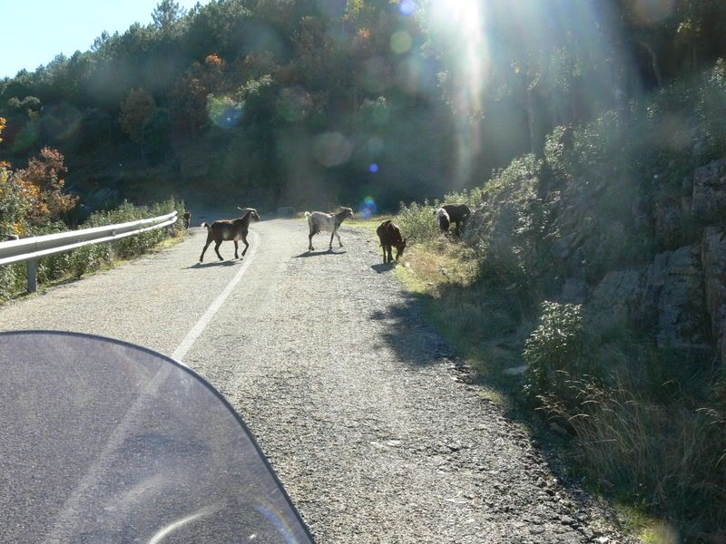 P1120977.jpg