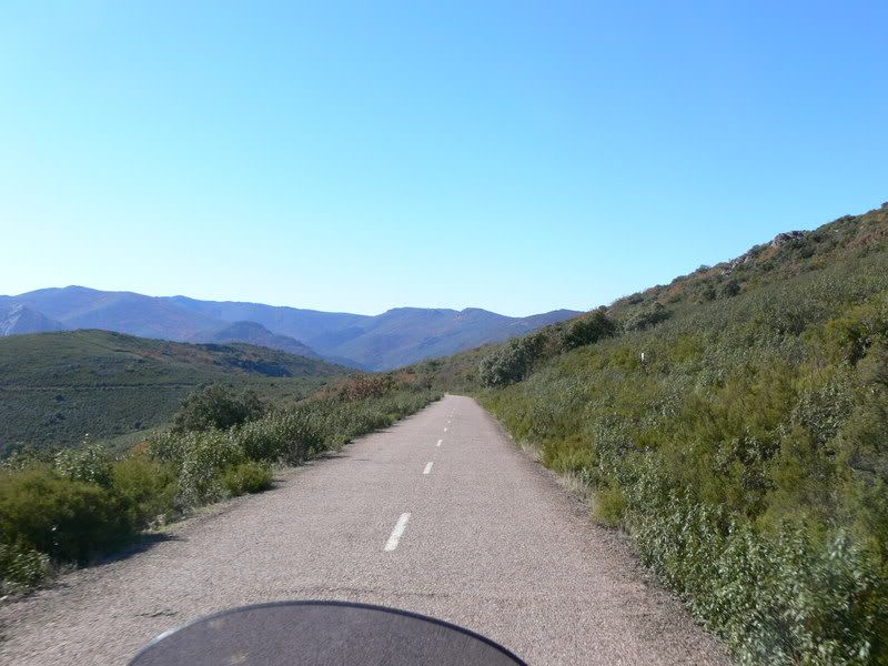 P1120994.jpg