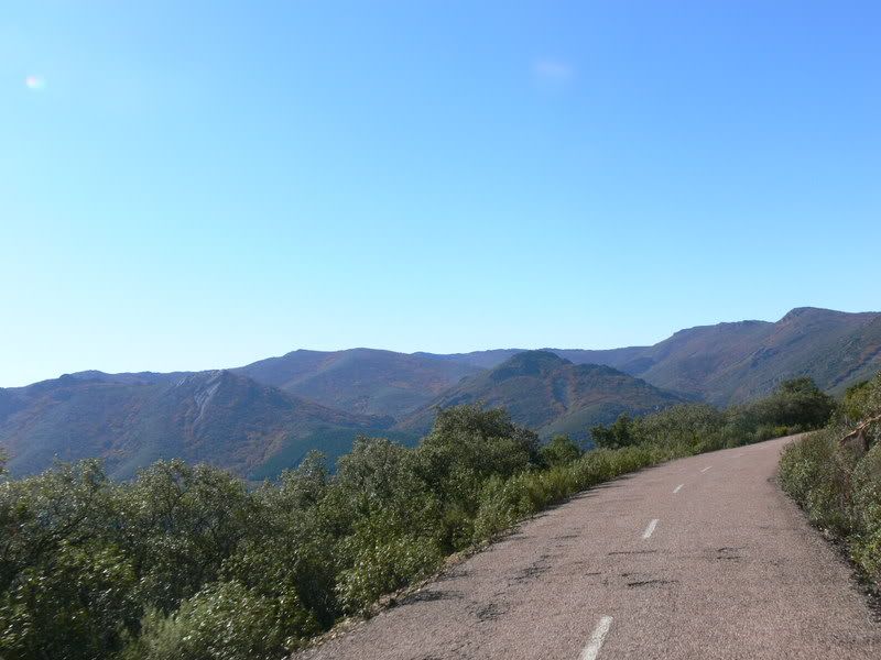 P1120999.jpg