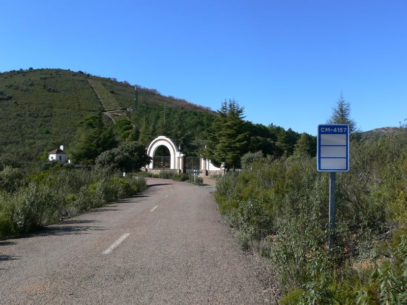 P1130004.jpg
