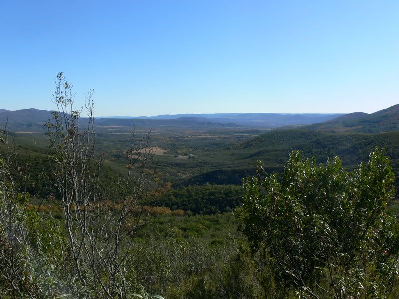 P1130008-1.jpg